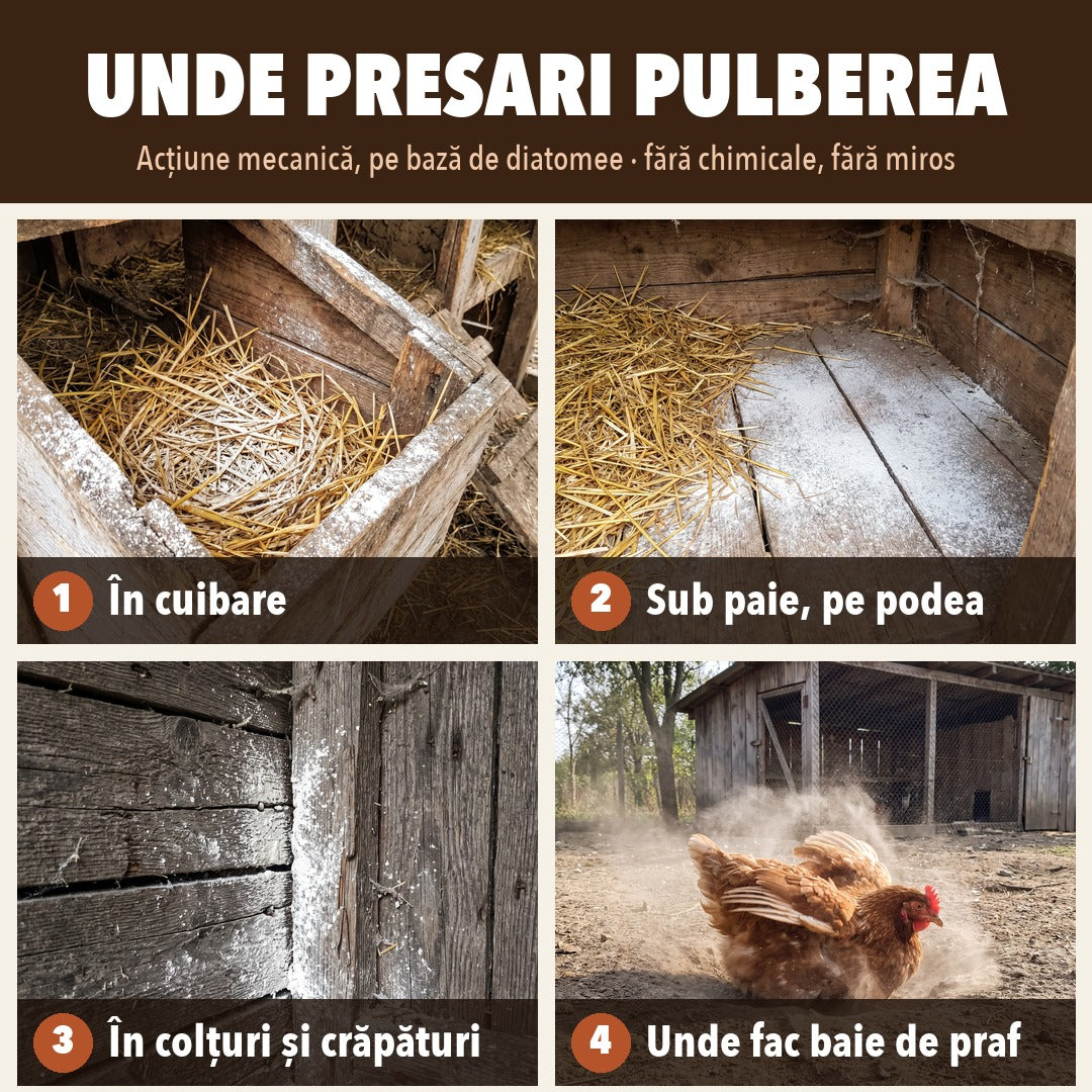 Pulbere împotriva păduchilor de găini pe bază de diatomee | 1+1 GRATIS, 2 borcane de 500 g