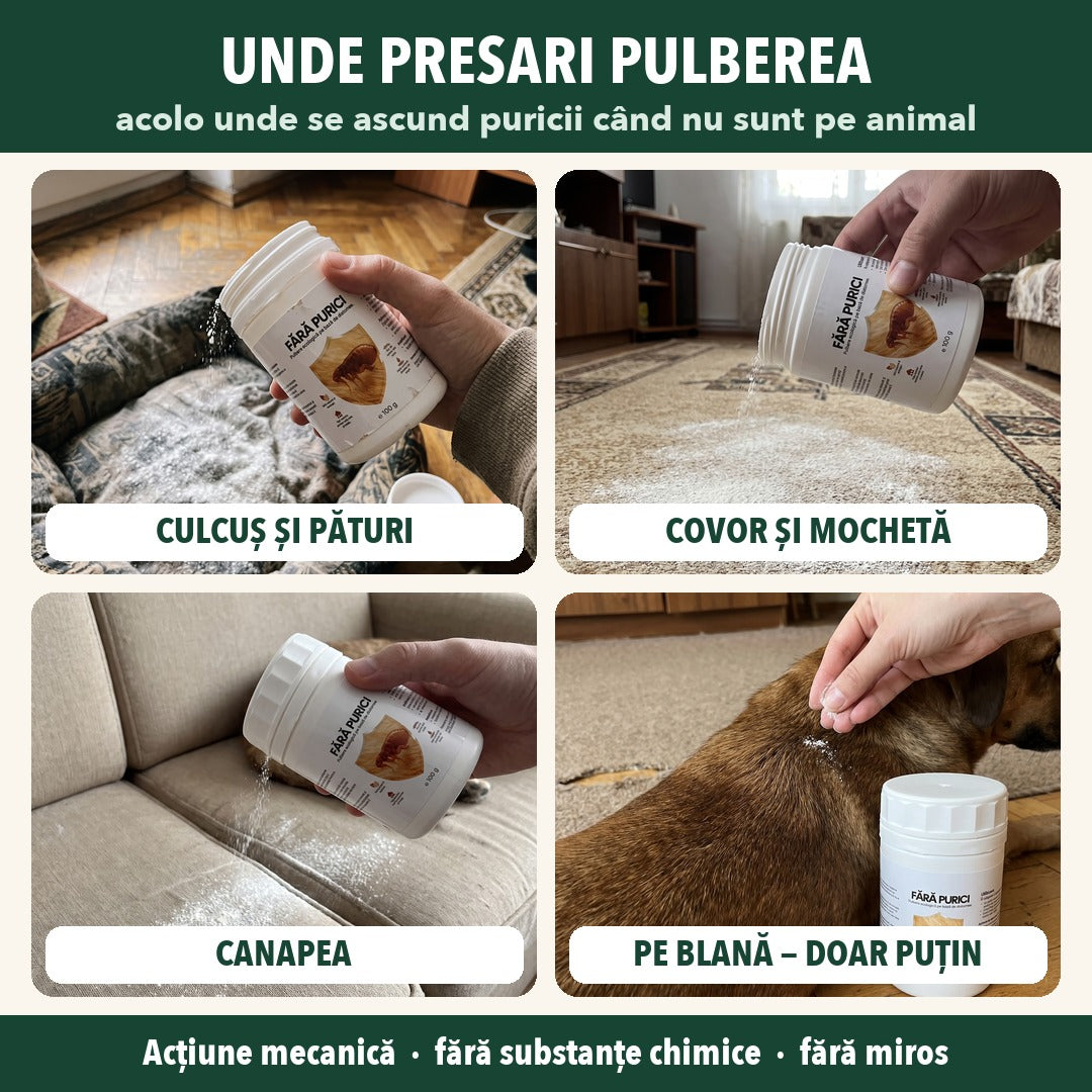 Pulbere împotriva puricilor pe bază de diatomee, borcan 500 g