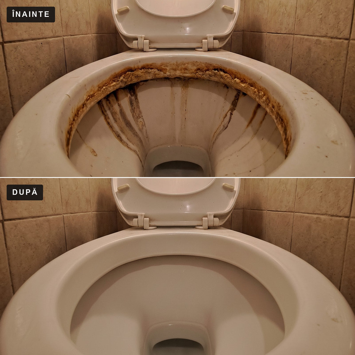 CalcarFix™ – Piatră ponce pentru WC, mâner + 6 capete | inelul de calcar iese, porțelanul rămâne alb