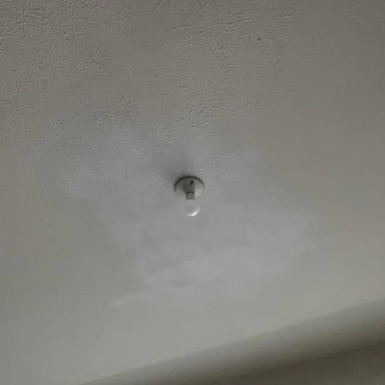 Pată pe tavan, înainte de retuș