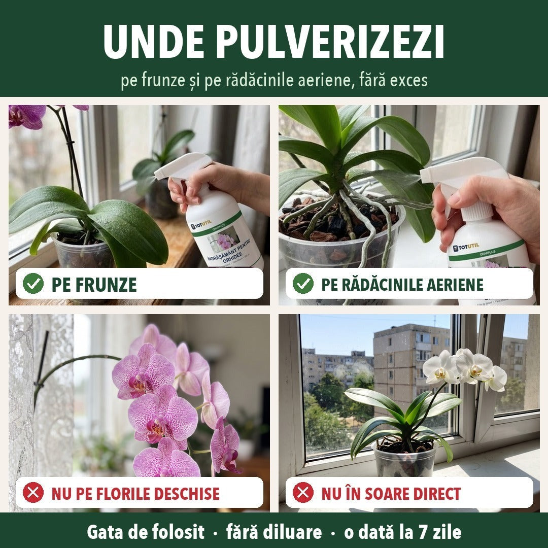Îngrășământ lichid pentru orhidee, spray gata de folosit, 500 ml