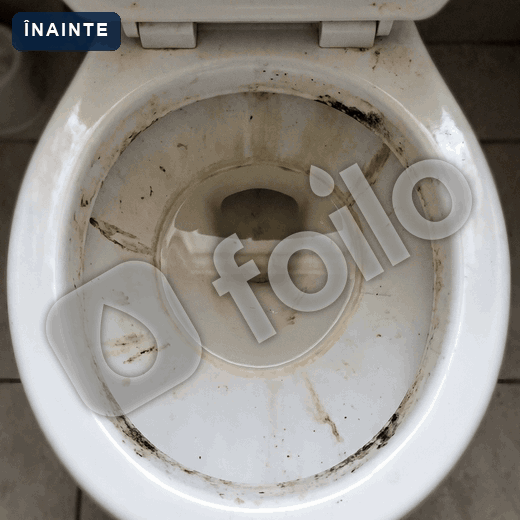 Vasul de toaletă murdar, apoi curat; peria veche murdară, apoi suportul Foilo pe perete