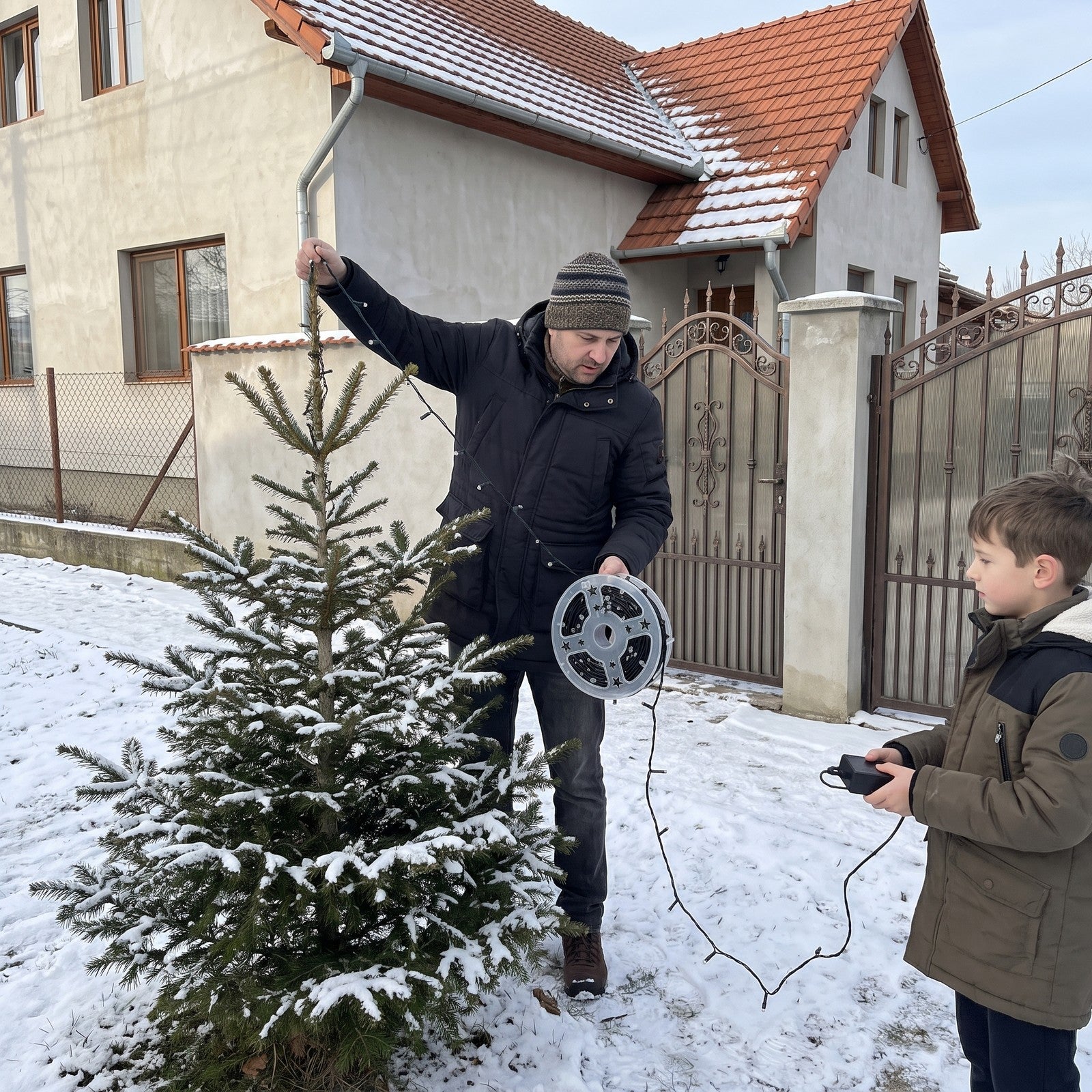 tată și fiu desfășoară instalația de pe tambur pe bradul din curte