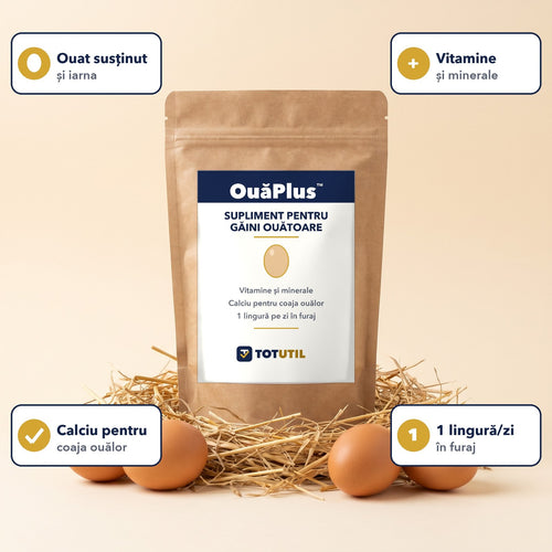 OuăPlus beneficii