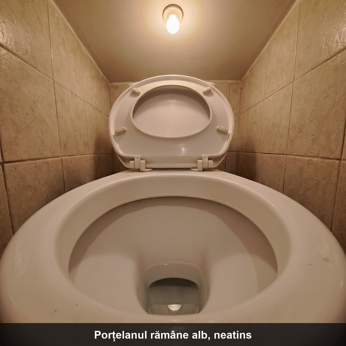CalcarFix™ – Piatră ponce pentru WC, mâner + 6 capete | inelul de calcar iese, porțelanul rămâne alb