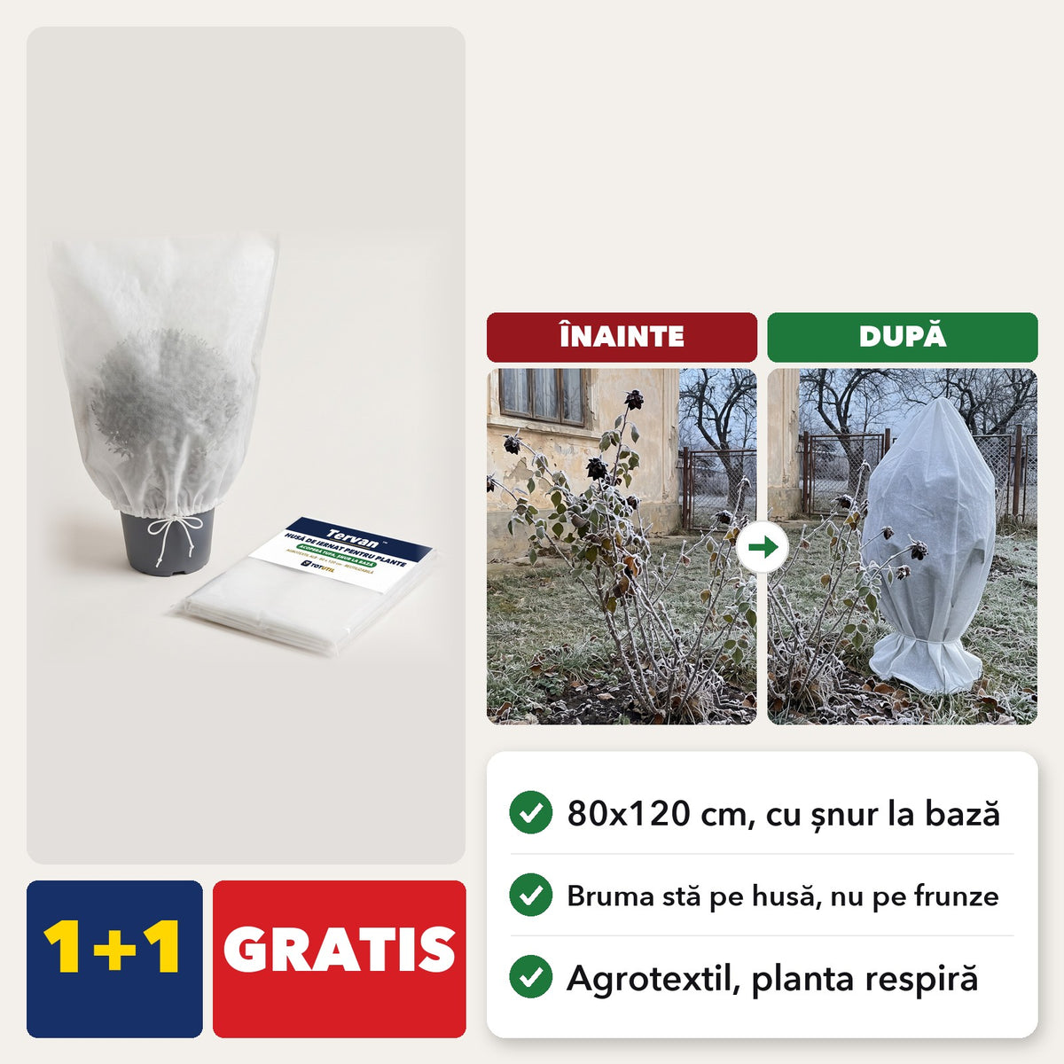 Tervan husa de iernat pentru plante, 1+1 GRATIS, trandafir inainte si dupa