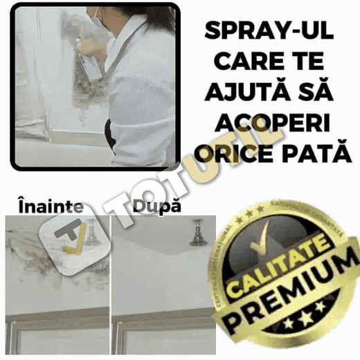 PereteFix — perete înainte și după retuș